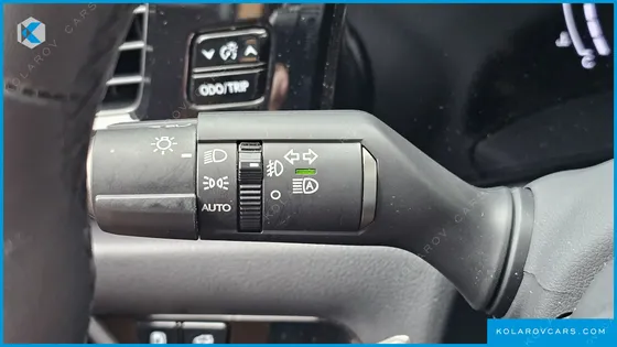 LEXUS NX LUXURY