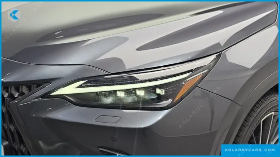LEXUS NX LUXURY