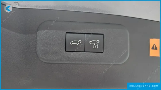 LEXUS NX LUXURY