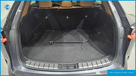LEXUS NX LUXURY