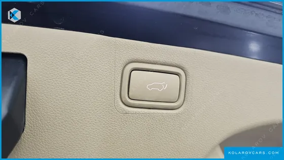 KIA CARNIVAL 9-SEATER NOBLESSE SPECIAL