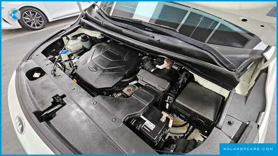KIA CARNIVAL GASOLINE 9-SEATER NOBLESSE SPECIAL