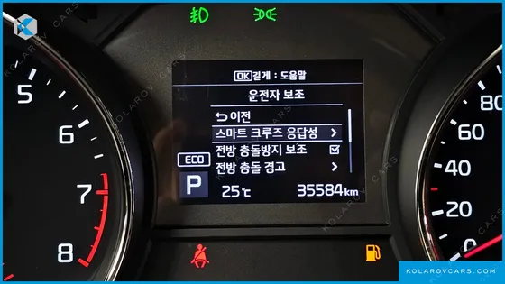 KIA CARNIVAL GASOLINE 9-SEATER NOBLESSE SPECIAL
