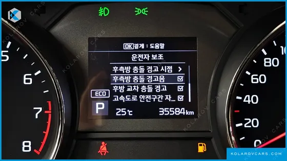 KIA CARNIVAL GASOLINE 9-SEATER NOBLESSE SPECIAL