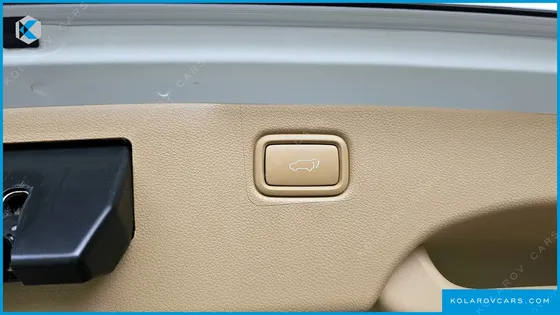 KIA CARNIVAL GASOLINE 9-SEATER NOBLESSE SPECIAL