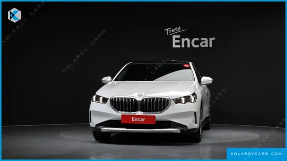 BMW 5 SERIES 523D