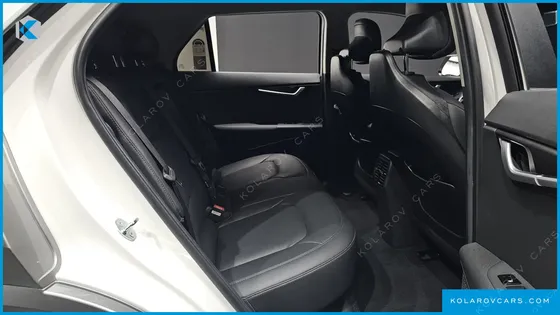 KIA NIRO EARTH