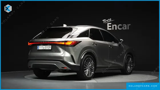 LEXUS RX LUXURY