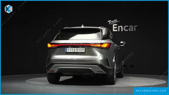 LEXUS RX LUXURY