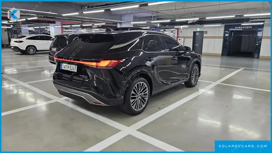 LEXUS RX LUXURY