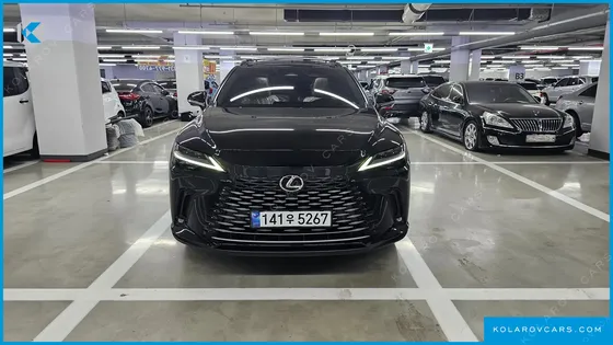 LEXUS RX LUXURY