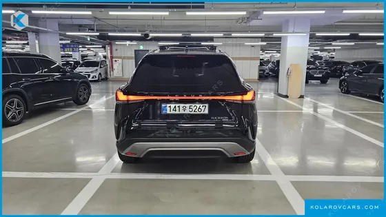 LEXUS RX LUXURY