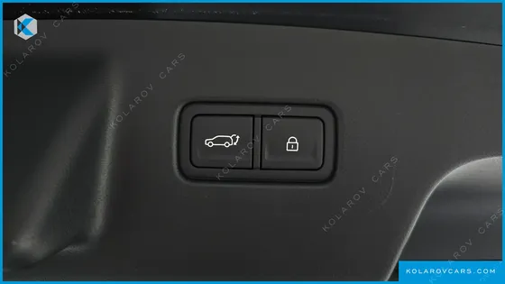 HYUNDAI PALISADE GASOLINE 2.5T 4WD 9-SEATER