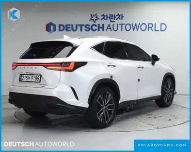 LEXUS NX LUXURY