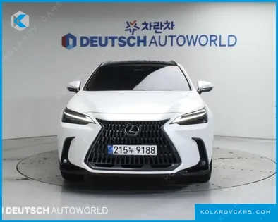 LEXUS NX LUXURY