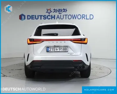 LEXUS NX LUXURY