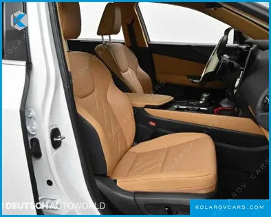 LEXUS NX LUXURY