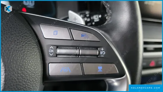 HYUNDAI PALISADE DIESEL 2.2 2WD