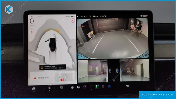 TESLA MODEL Y RWD