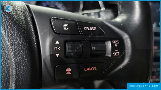 KIA CARNIVAL 9-SEATER NOBLESSE SPECIAL