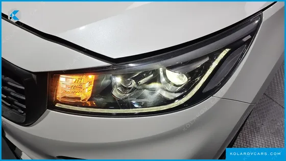 KIA CARNIVAL 9-SEATER NOBLESSE SPECIAL