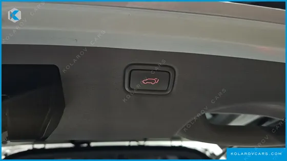KIA CARNIVAL 9-SEATER NOBLESSE SPECIAL