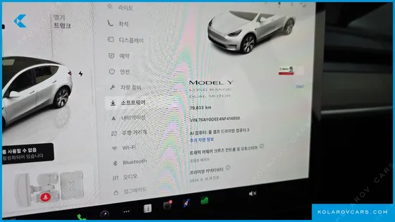 TESLA MODEL Y LONG RANGE AWD