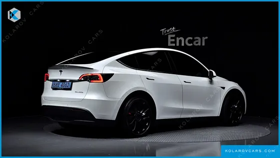 TESLA MODEL Y PERFORMANCE AWD