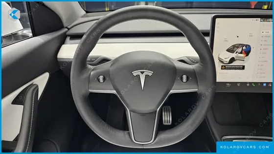 TESLA MODEL Y PERFORMANCE AWD