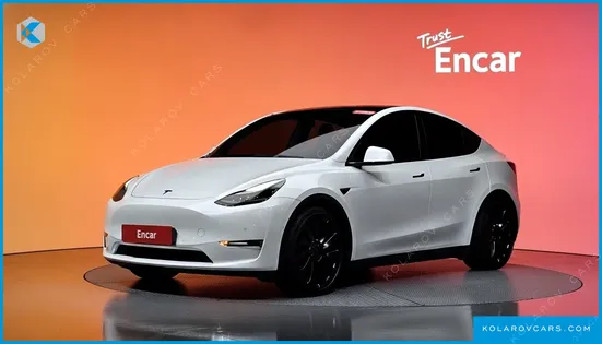 TESLA MODEL Y PERFORMANCE AWD