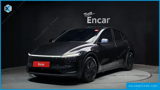 TESLA MODEL Y LONG RANGE AWD