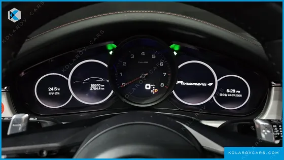 PORSCHE PANAMERA 2.9 AWD PLATINUM EDITION
