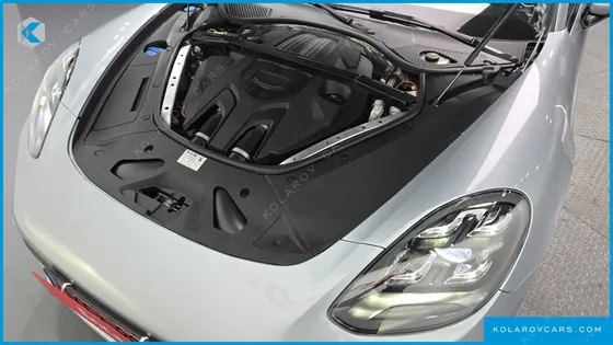 PORSCHE PANAMERA 2.9 AWD EXECUTIVE