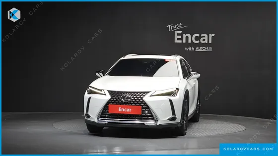 LEXUS UX 2.0 2WD