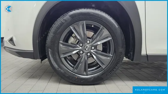 LEXUS UX 2.0 2WD