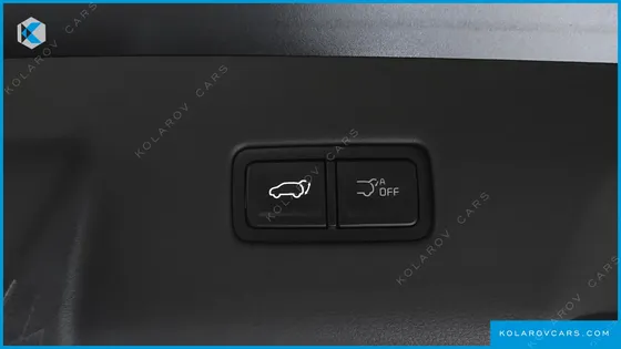 KIA CARNIVAL HEV 9-SEATER HI-LIMOUSINE (SPECIAL VEHICLE)