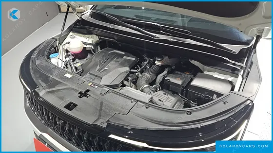 KIA CARNIVAL GASOLINE 9-SEATER NOBLESSE