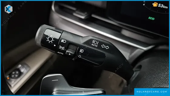 KIA CARNIVAL GASOLINE 9-SEATER NOBLESSE