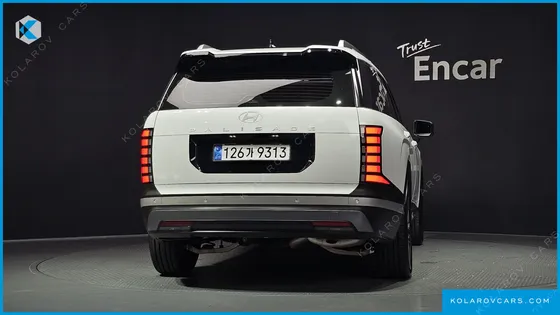 HYUNDAI PALISADE GASOLINE 2.5T 2WD 9-SEATER