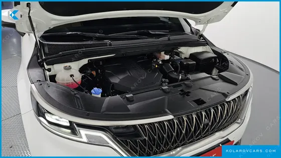 KIA CARNIVAL 9-SEATER NOBLESSE