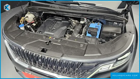 KIA CARNIVAL GASOLINE 4-SEATER HI-LIMOUSINE (SPECIAL)