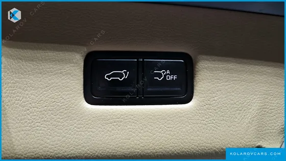 KIA CARNIVAL GASOLINE 4-SEATER HI-LIMOUSINE (SPECIAL)