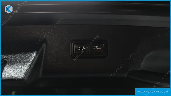 KIA CARNIVAL 9-SEATER SIGNATURE