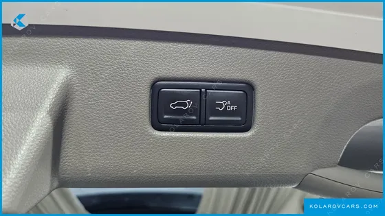 KIA CARNIVAL GASOLINE 9-SEATER HI-LIMOUSINE