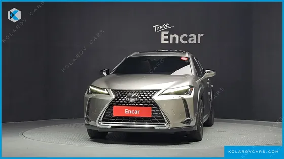 LEXUS UX 2.0 2WD