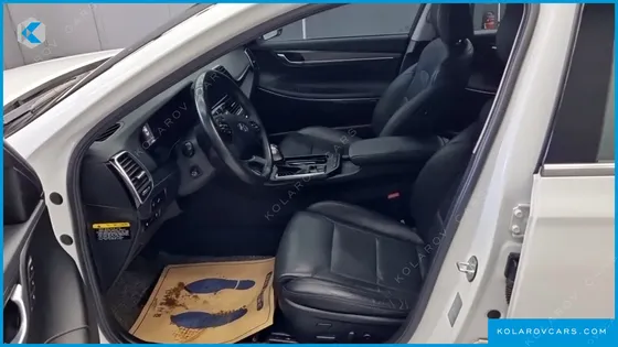 HYUNDAI GRANDEUR 3.0 LPI DSABLED PERSON