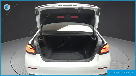 BMW 5 SERIES 520I LUXURY