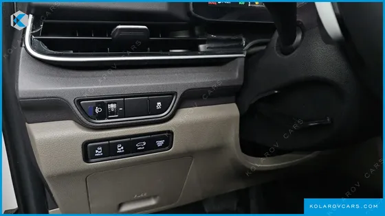 KIA CARNIVAL 9-SEATER NOBLESSE
