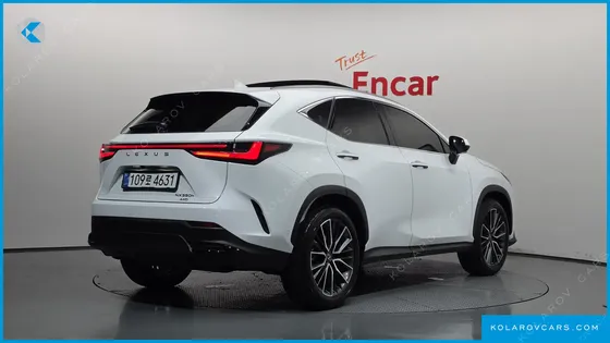 LEXUS NX LUXURY