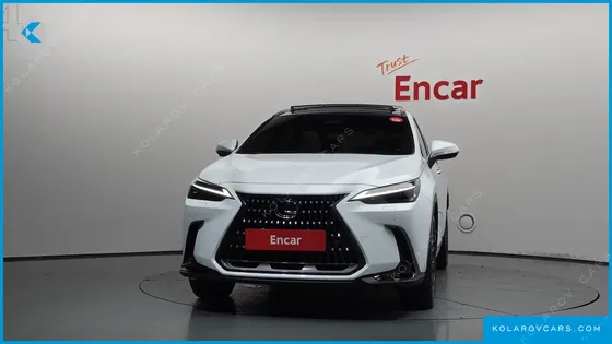 LEXUS NX LUXURY
